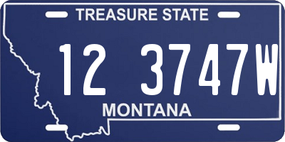 MT license plate 123747W