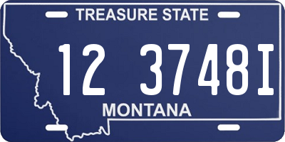 MT license plate 123748I