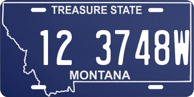 MT license plate 123748W
