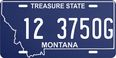 MT license plate 123750G