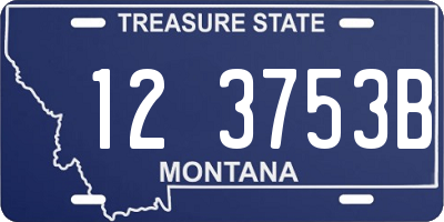 MT license plate 123753B