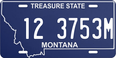 MT license plate 123753M