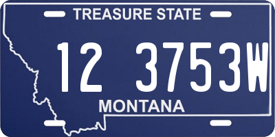 MT license plate 123753W