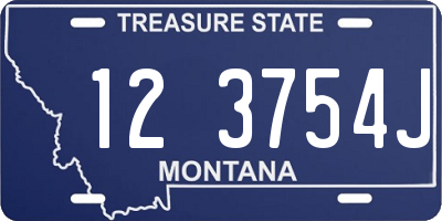 MT license plate 123754J