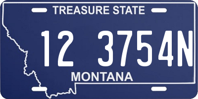 MT license plate 123754N