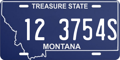 MT license plate 123754S