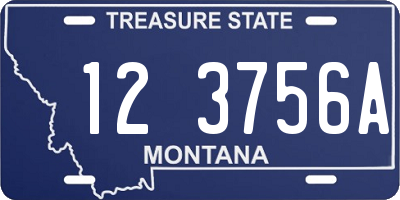 MT license plate 123756A