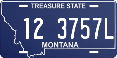 MT license plate 123757L