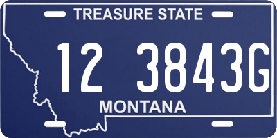 MT license plate 123843G