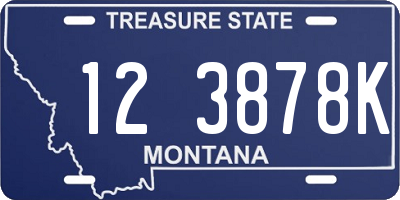 MT license plate 123878K