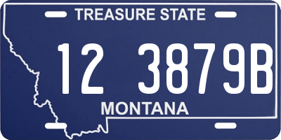 MT license plate 123879B