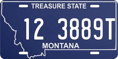 MT license plate 123889T