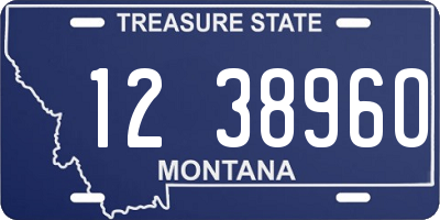 MT license plate 123896O