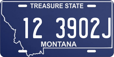 MT license plate 123902J