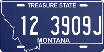 MT license plate 123909J