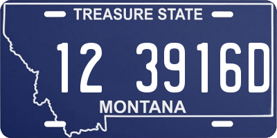MT license plate 123916D