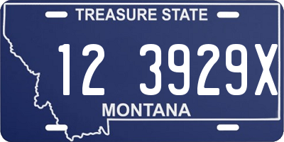 MT license plate 123929X