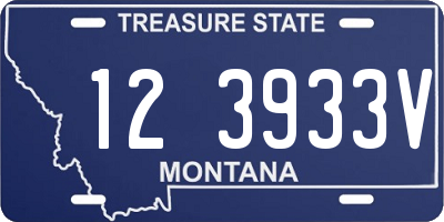 MT license plate 123933V