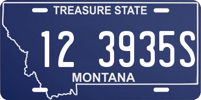 MT license plate 123935S
