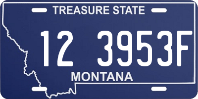 MT license plate 123953F
