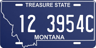 MT license plate 123954C