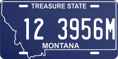 MT license plate 123956M