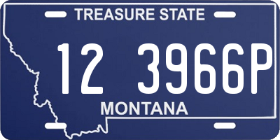 MT license plate 123966P