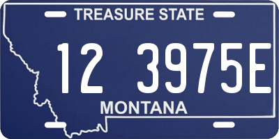 MT license plate 123975E