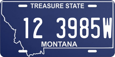 MT license plate 123985W