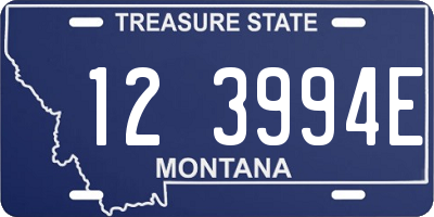 MT license plate 123994E