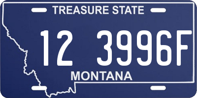 MT license plate 123996F