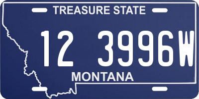 MT license plate 123996W