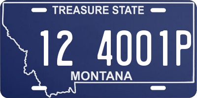 MT license plate 124001P