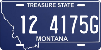 MT license plate 124175G