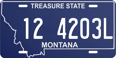 MT license plate 124203L