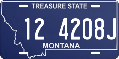 MT license plate 124208J