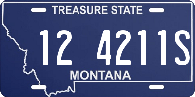 MT license plate 124211S