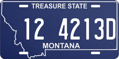 MT license plate 124213D