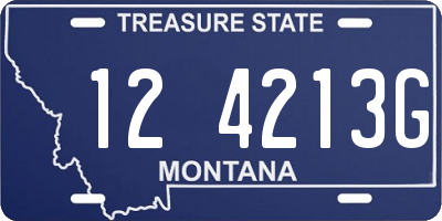 MT license plate 124213G