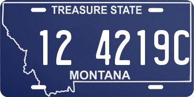 MT license plate 124219C