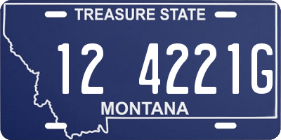 MT license plate 124221G