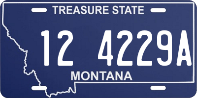 MT license plate 124229A