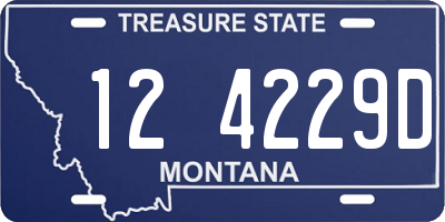 MT license plate 124229D