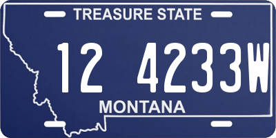 MT license plate 124233W
