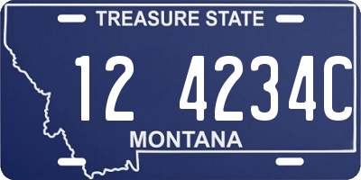 MT license plate 124234C