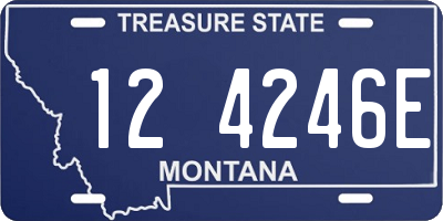MT license plate 124246E