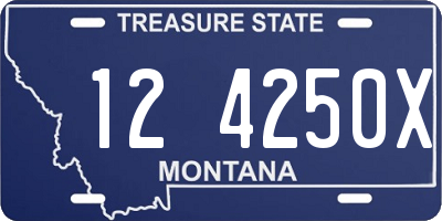 MT license plate 124250X