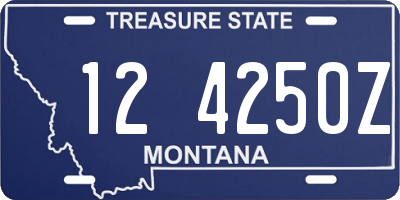 MT license plate 124250Z