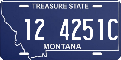 MT license plate 124251C