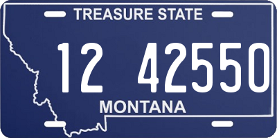 MT license plate 124255O